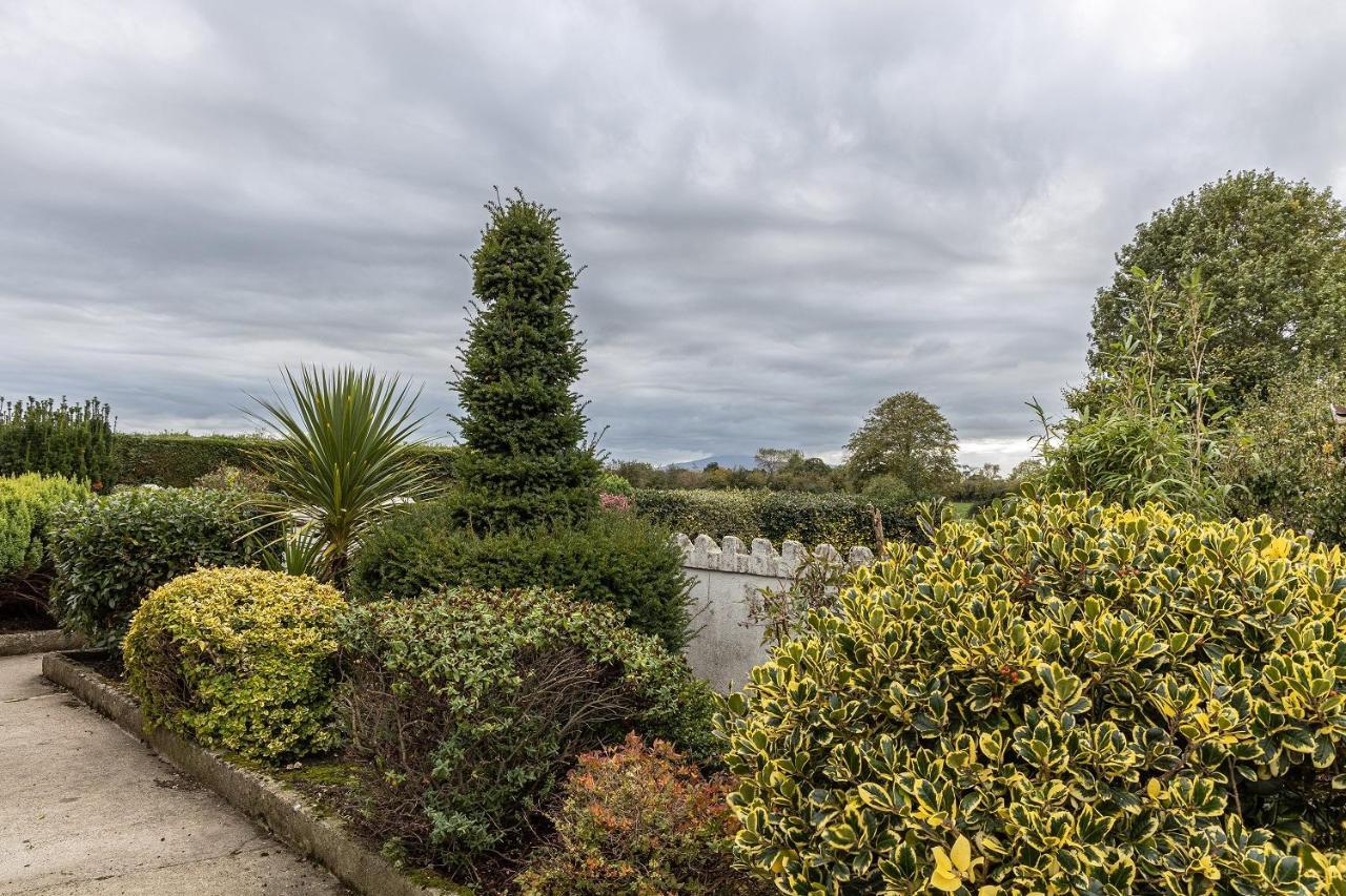 Hally'S Farm Kilkenny Bagian luar foto