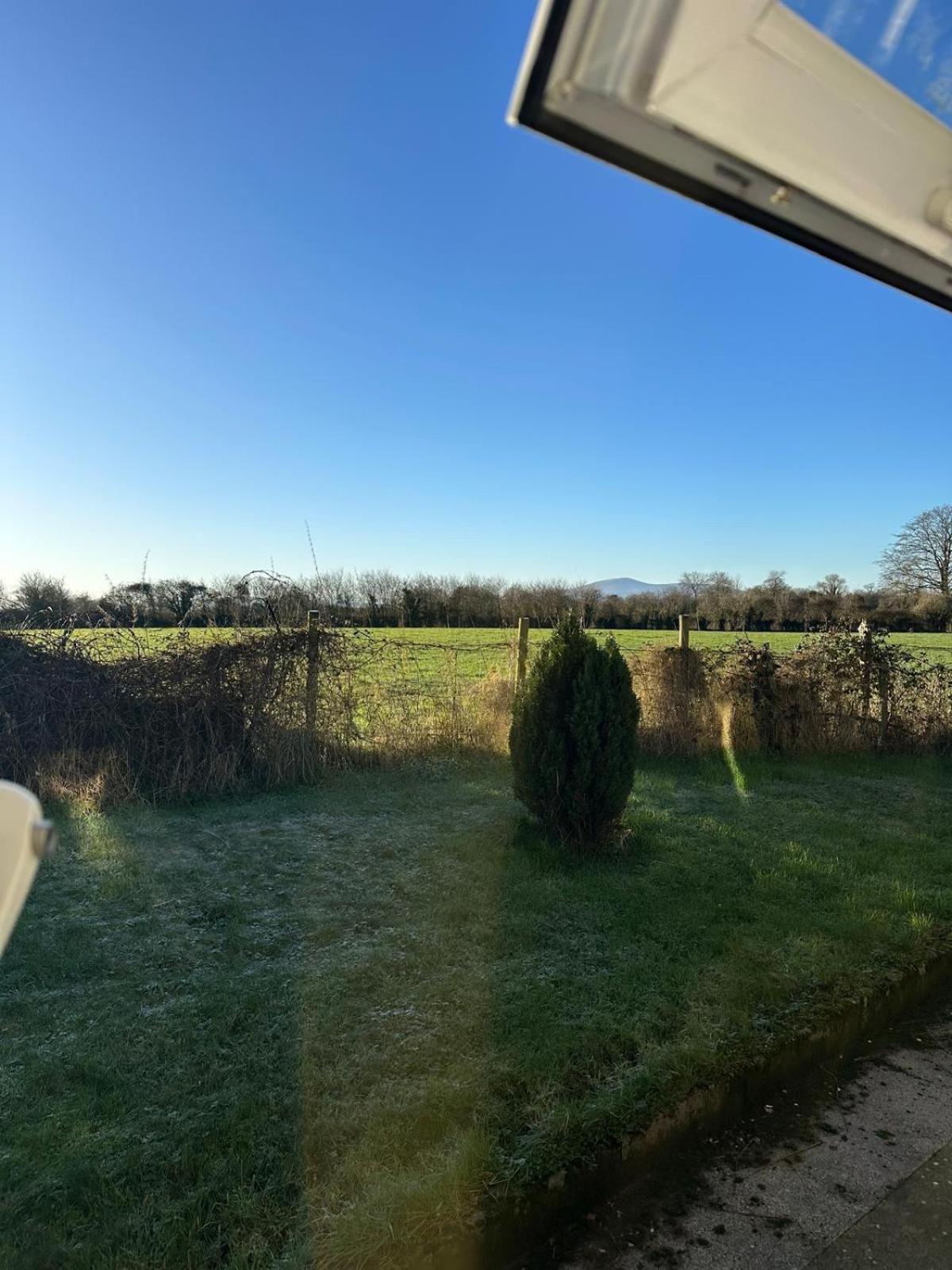Hally'S Farm Kilkenny Bagian luar foto